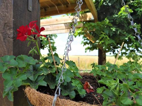 Le Lavoir Secret - hébergement atypique dans un joli cadre bucolique