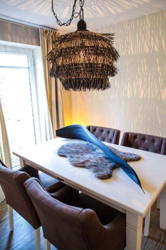 Liebevoll-eingerichtete-Wohnung-mit-Terrasse in 加登奧斯特