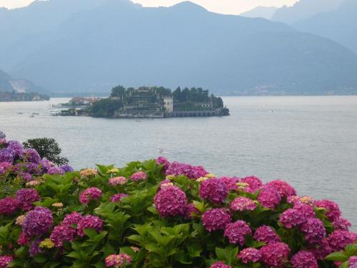 Hotel Lido La Perla Nera - image 11