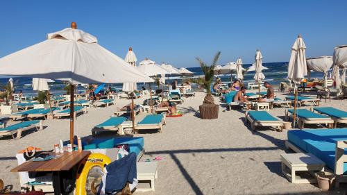 Ida Summer Mamaia