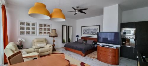 . Žlutý apartmán A6 v Chomutově