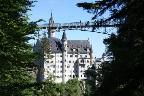 Beim Straußer - image 6