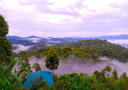 Bwindi Neckview Lodge