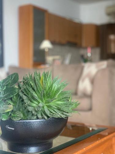 Beach apartment Beach apartment