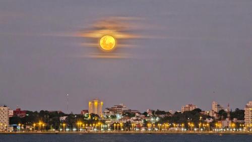 LOS CHOW CHOW near Libertador General José de San Martín Airport