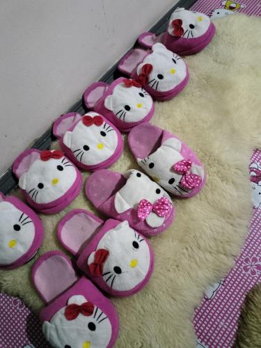 Hello Kitty Backpackers in センポルナ