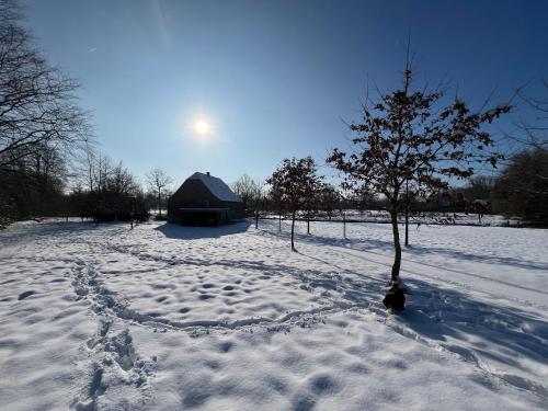 le Moulin de Braives