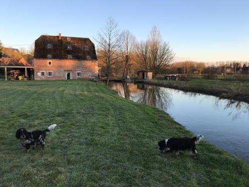 le Moulin de Braives