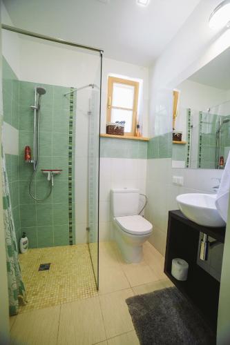 Studio apartment in private house III Renovation in other apartment, Riga (foto 10)