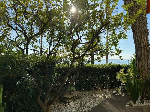 Garden Atlantide Promenade, Nice (photo 8)