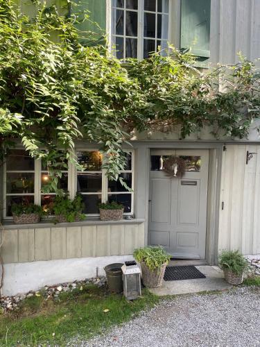Fischerhäuser Romanshorn - image 7