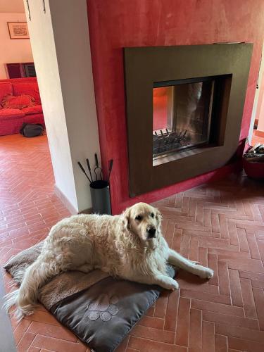  Casa Boru - a beautiful fully restored spacious house with fantastic views in Calice al Cornoviglio