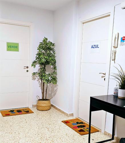 Plaza de Armas by Rami Room Type - One-Bedroom Apartment