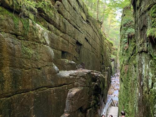 E7 Sunny Bretton Woods private home next to the slopes of Bretton Woods Hot Tub, Wifi E7 Sunny Bretton Woods private home next to the slopes of Bretton Woods Hot Tub, Wifi