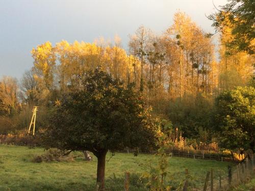 Le Petit Jardin, Gîte en baie de Somme