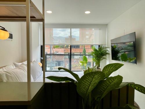 Oliving by Wynwood House, Medellín (fotografie 6)