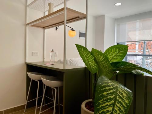 Oliving by Wynwood House, Medellín (fotografie 7)