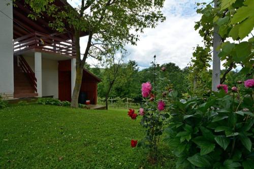 Korana Apartment