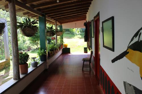Caficultur -Alojamiento Rural in Buenavista (Quindio)