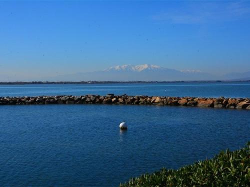 Maison Port Barcarès, 4 pièces, 8 personnes - FR-1-431-45 - Location saisonnière - Le Barcarès