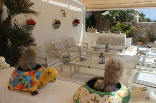 Hotel Macondo