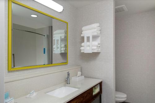 Hampton Inn and Suites by Hilton Indianapolis West Speedway - 화장실