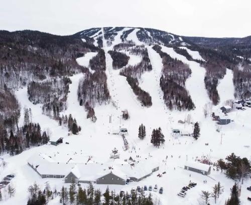 Appartement Mont Édouard, Hébergement paisible à la montagne (Appartement Mont Edouard, Hebergement paisible a la montagne) in Lensendžīna (QC)