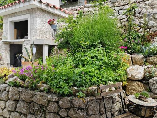 Holiday house with a parking space Gornja Podgora - Makarska - 22242 - image 4
