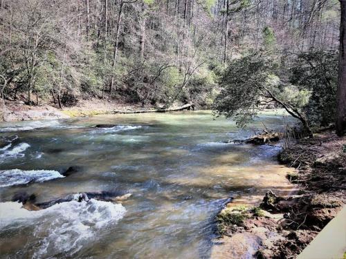 Dog Friendly! Creekside Retreat! Waterfront! in Ellijay, USA
