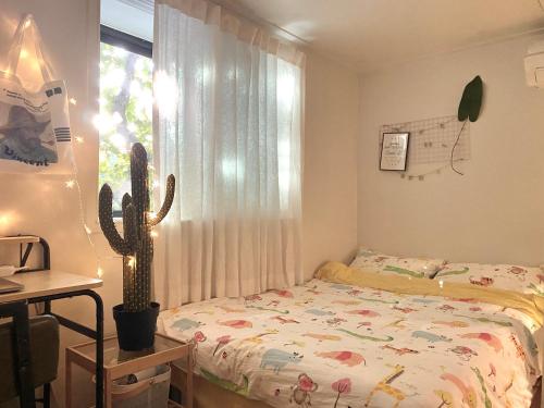 Amazing room HONGDAE GUESTHOUSE, Soul (fotografie 4)