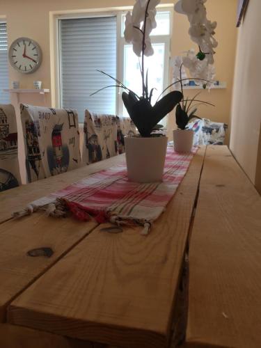  Palm Private in Antalya