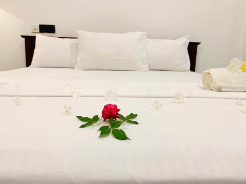 Kavin Beach Hotel Hikkaduwa – Dodanduwa, CO