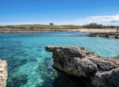 Anglica's Suite Anglica's Suite