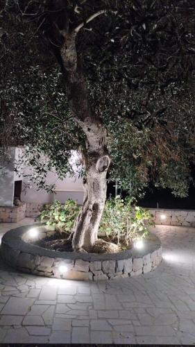 Anglica's Suite Anglica's Suite