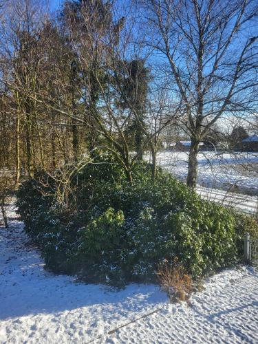 Nörderland (Norderland) in Lintelermarsch