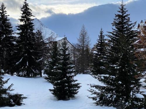 Résidence Cote Brune 3 - Studio pour 5 Personnes 364 - Location saisonnière - Les Deux-Alpes