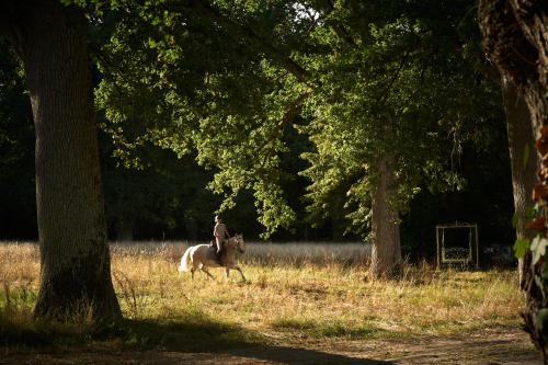 Les Sources de Cheverny