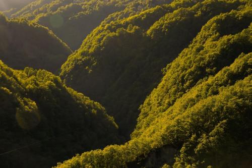 Wild Valley Ticino Vista in Valle Onsernone