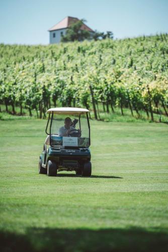 Wine Grower's Mansion Zlati Gric - image 14