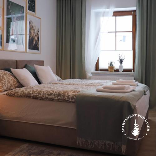 APARTAMENT Pod Lasem Jedlina Zdrój