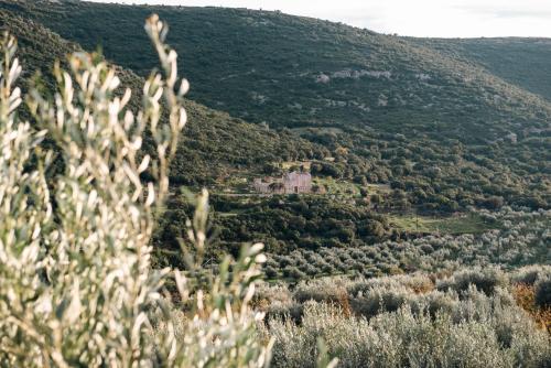 Elaia Rest House Elaia Rest House