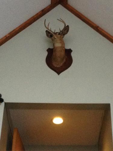 Chaffee Lodge