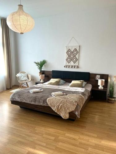 Apartment Olivia - Old Town, AC, Bratislava (foto 2)