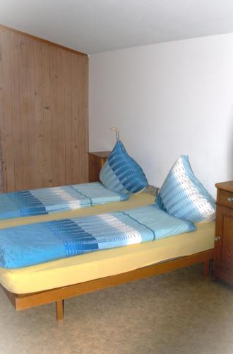Budget Double Room with Shared Bathroom and Mountain View