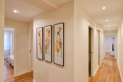 Cedro flat, Valencie (fotografie 6)
