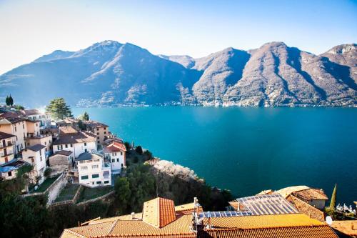 Skats, Letitino in Nesso
