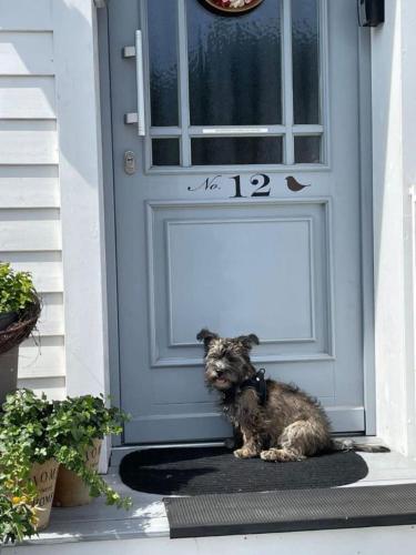 Saarlouis, Ortsteil Beaumarais "Anna's Cottage"Bed&Breakfast "#TravellerAwards2021