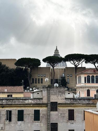 MUSEUM DAY VATICAN, Řím