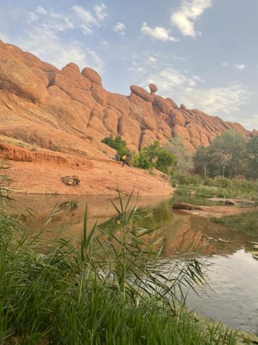 Riad Atlas Berbère Riad Atlas Berbère