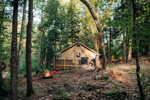 Huttopia Adirondacks - main image